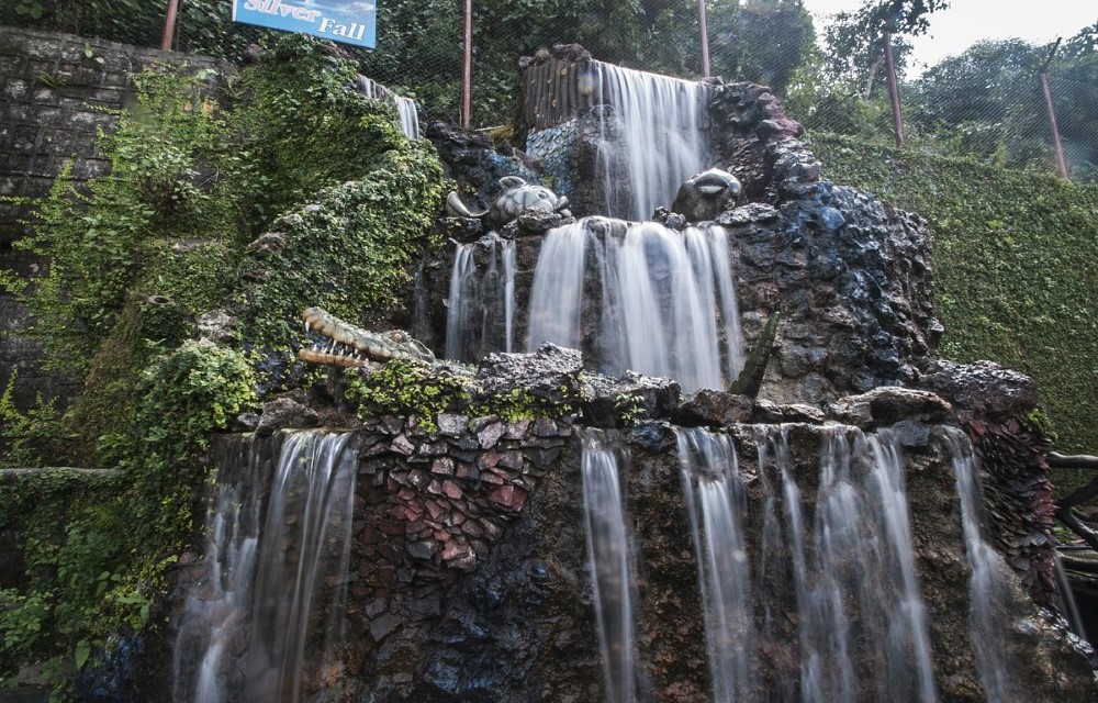 Malsi Hill View Homestays Attraction Pictures