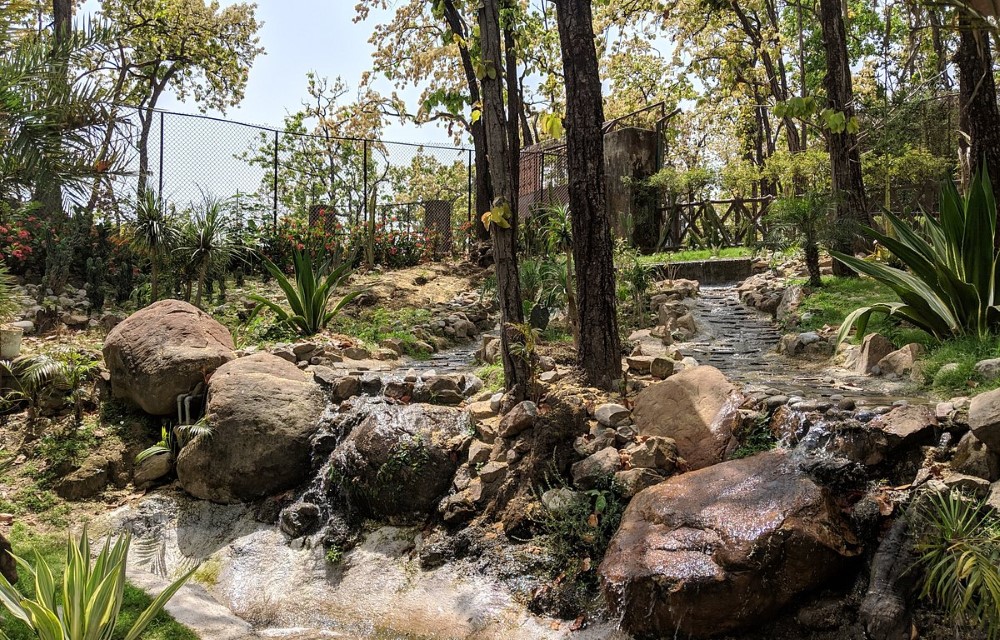 Malsi Hill View Homestays Attraction Pictures