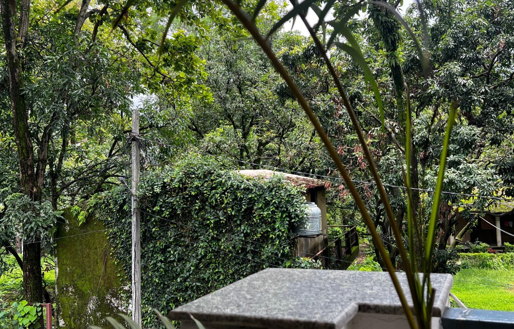 Blog Pictures