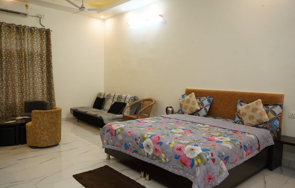 Gallery Pictures
