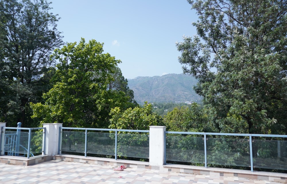 Gallery Pictures