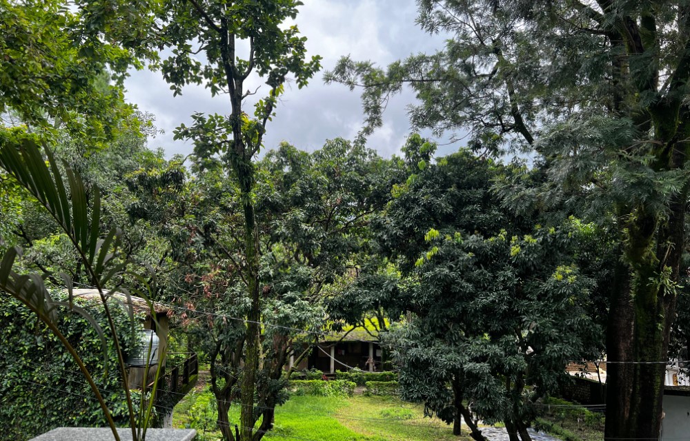 Malsi Hill View Homestays Blog Pictures
